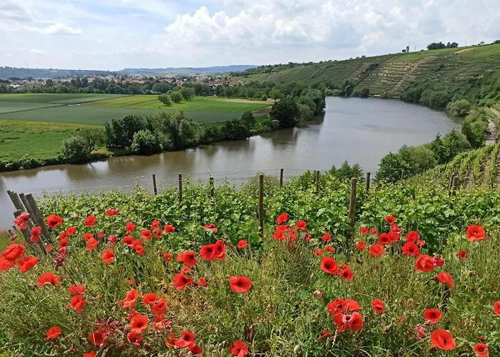 Schmid アパート *